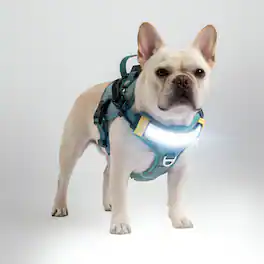 Lumi Pawtners - Lumi One LED Dog Harness - Blue