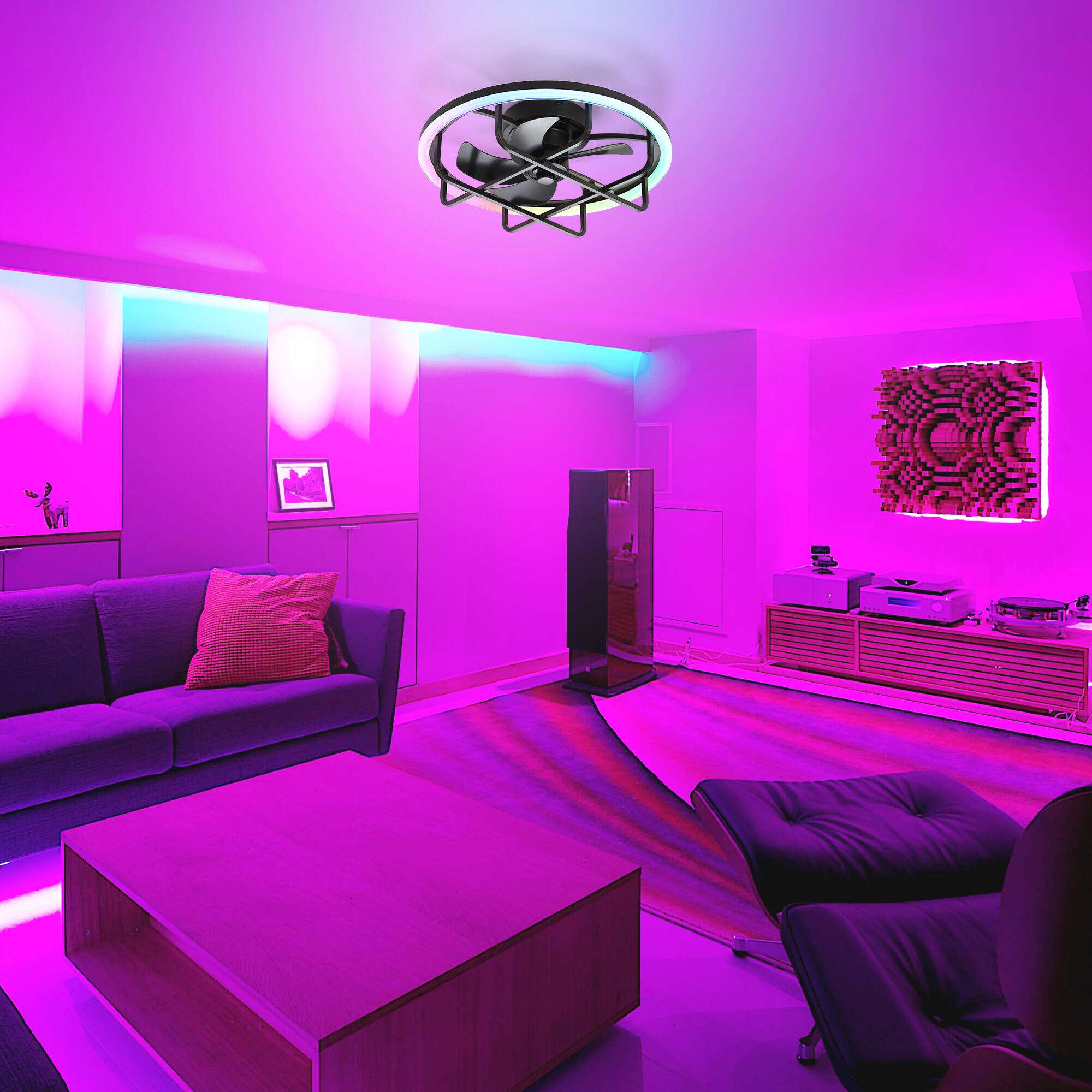 Alt View 2. Breezary - 20-Inch Caged Flush Mount Ceiling Fan with Acrylic Shade, Dimmable RGB LED, 6-Speed Remote, Timer, DC Motor - 20-Inch Black Caged Ceiling Fan.