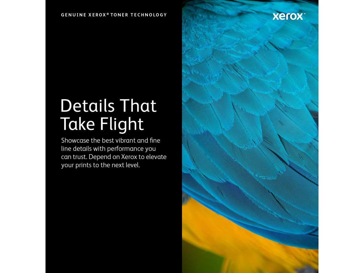GENUINE XEROX® TONER TECHNOLOGY

Details That Take Flight

Showcase the best vibrant and fine line details with performance you can trust. Depend on Xerox to elevate your prints to the next level.