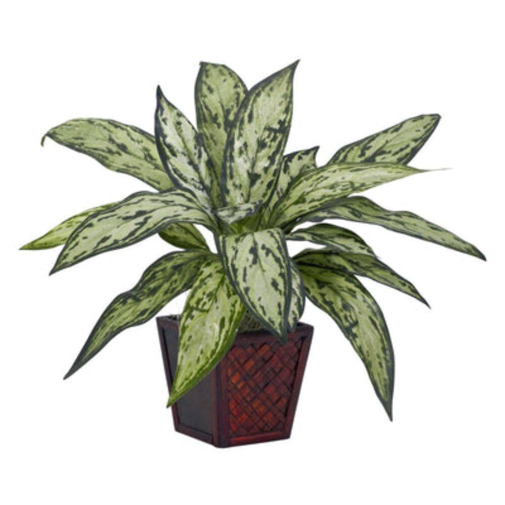 Angle. BreeBe - Silver Queen Silk Plant (Set of 2) - Green.