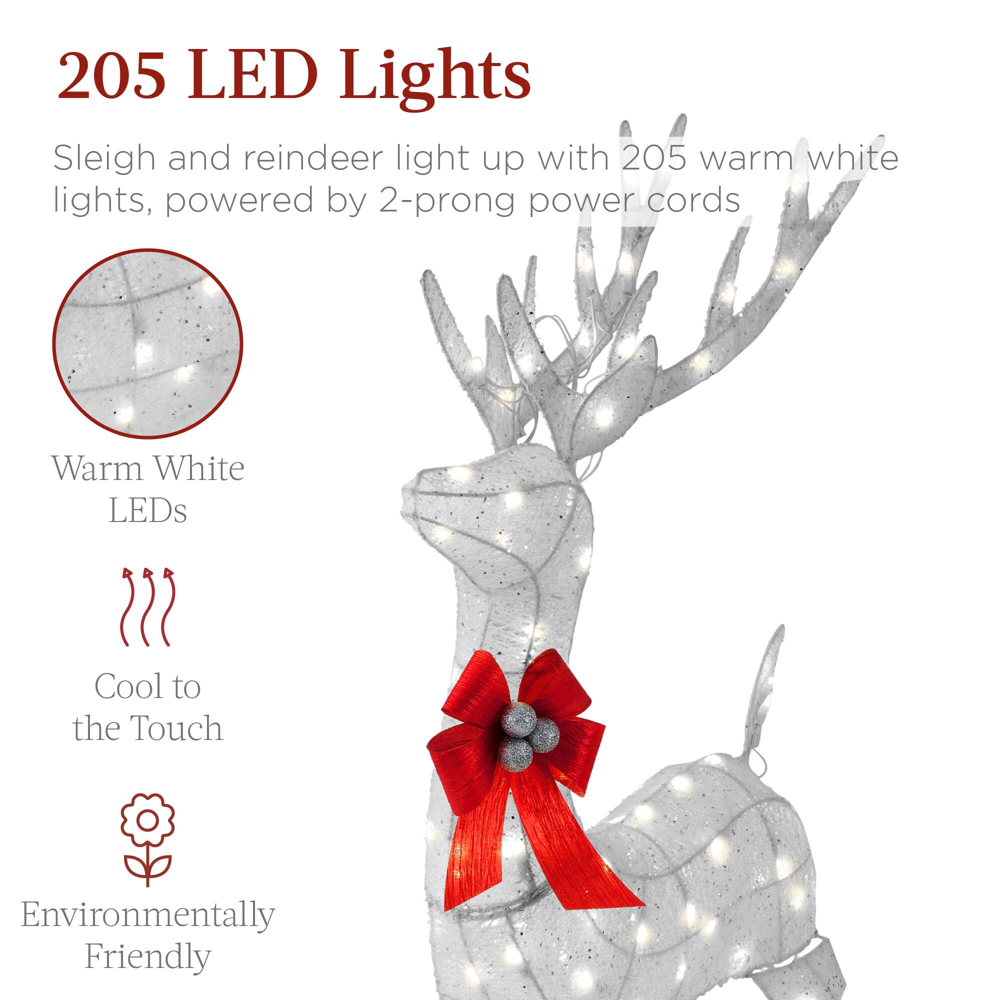 205 LED Lights

Sleigh and reindeer light up with 205 warm white lights, powered by 2-prong power cords

- Warm White LEDs
- Cool to the Touch
- Environmentally Friendly