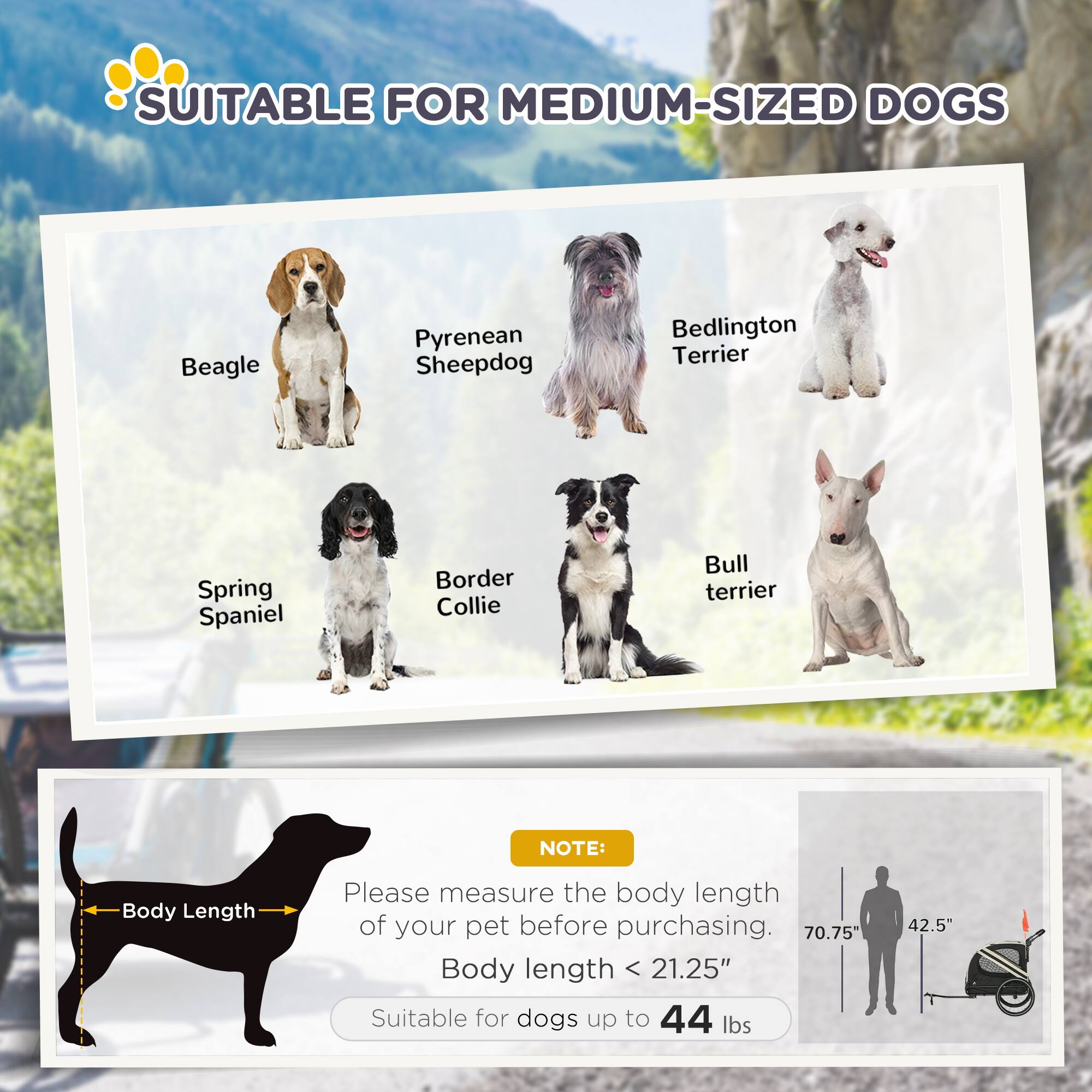 SUITABLE FOR MEDIUM-SIZED DOGS

- Beagle
- Pyrenean Sheepdog
- Bedlington Terrier
- Spring Spaniel
- Border Collie
- Bull Terrier

NOTE: Please measure the body length of your pet before purchasing.

Body length < 21.25"

Suitable for dogs up to 44 lbs