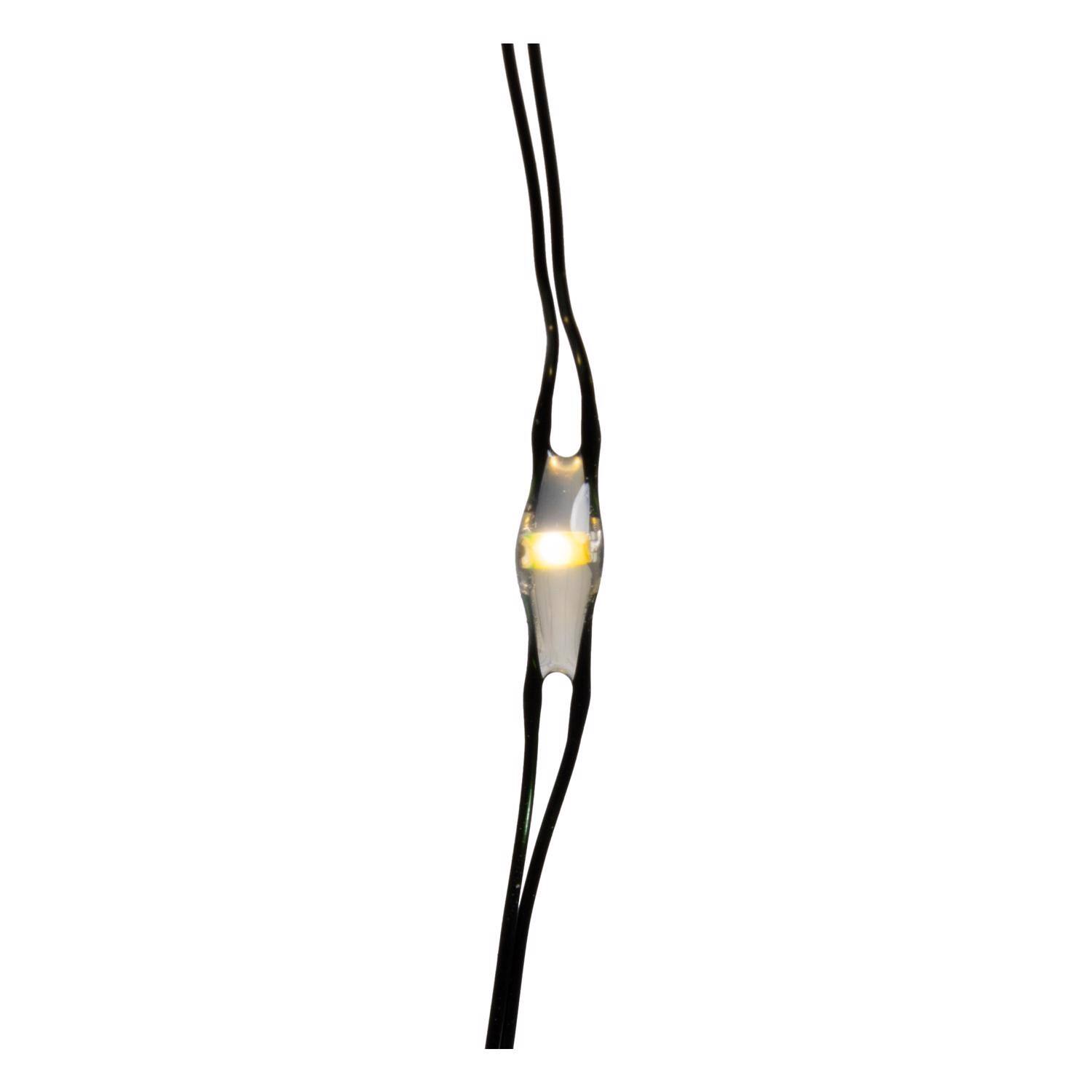 Left. Celebrations - Celebrations Platinum LED Big Seed Cluster Warm White 832 ct String Christmas Lights 8 ft..