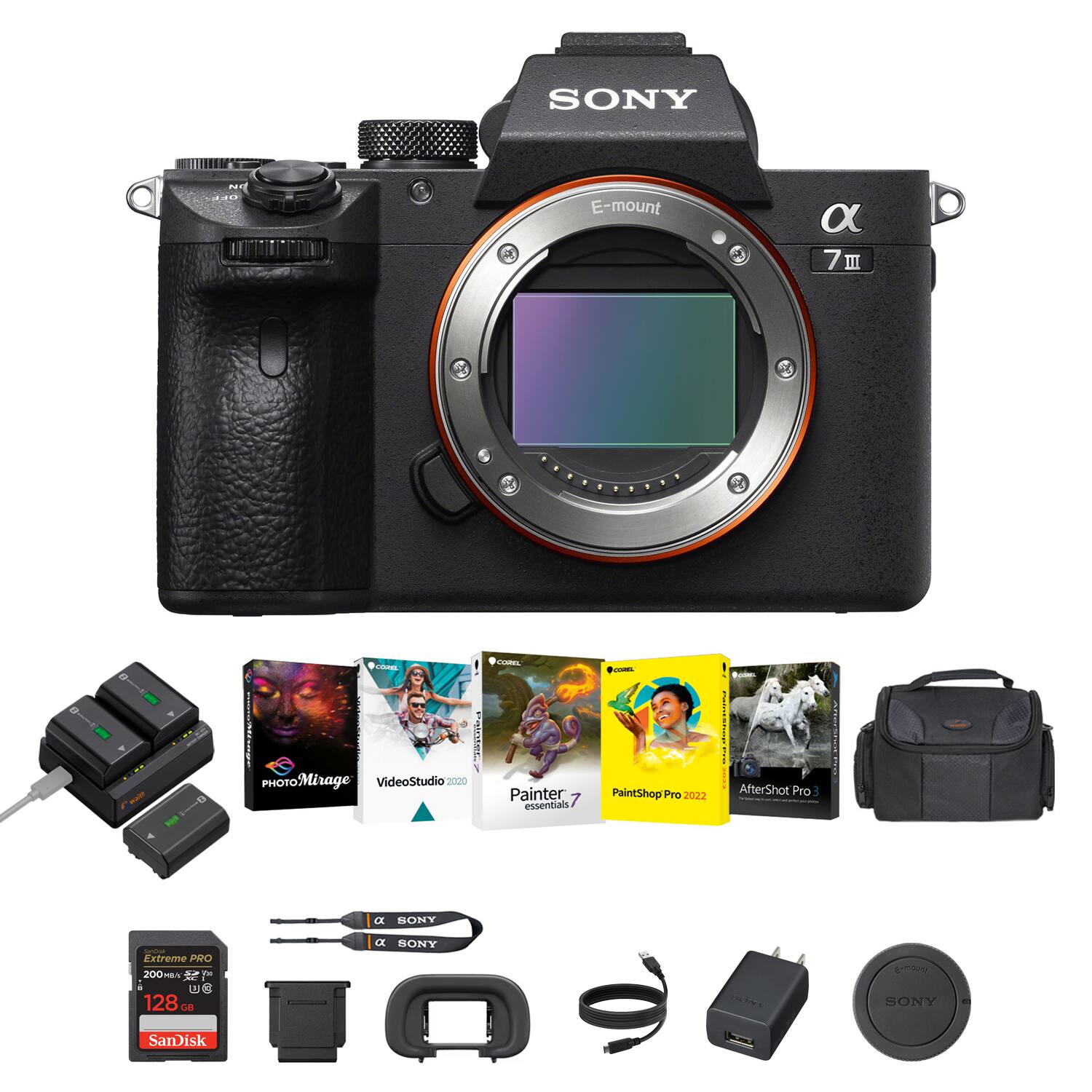 SONY E-mount α 7 III  
- Pontiert PHOTOMirage  
- VideoStudio2020  
- Painter essentials  
- PaintShop Pro 2022  
- AfterShot Pro  
- Extreme PRO 200 a 2 wS 128  
- SanDisk