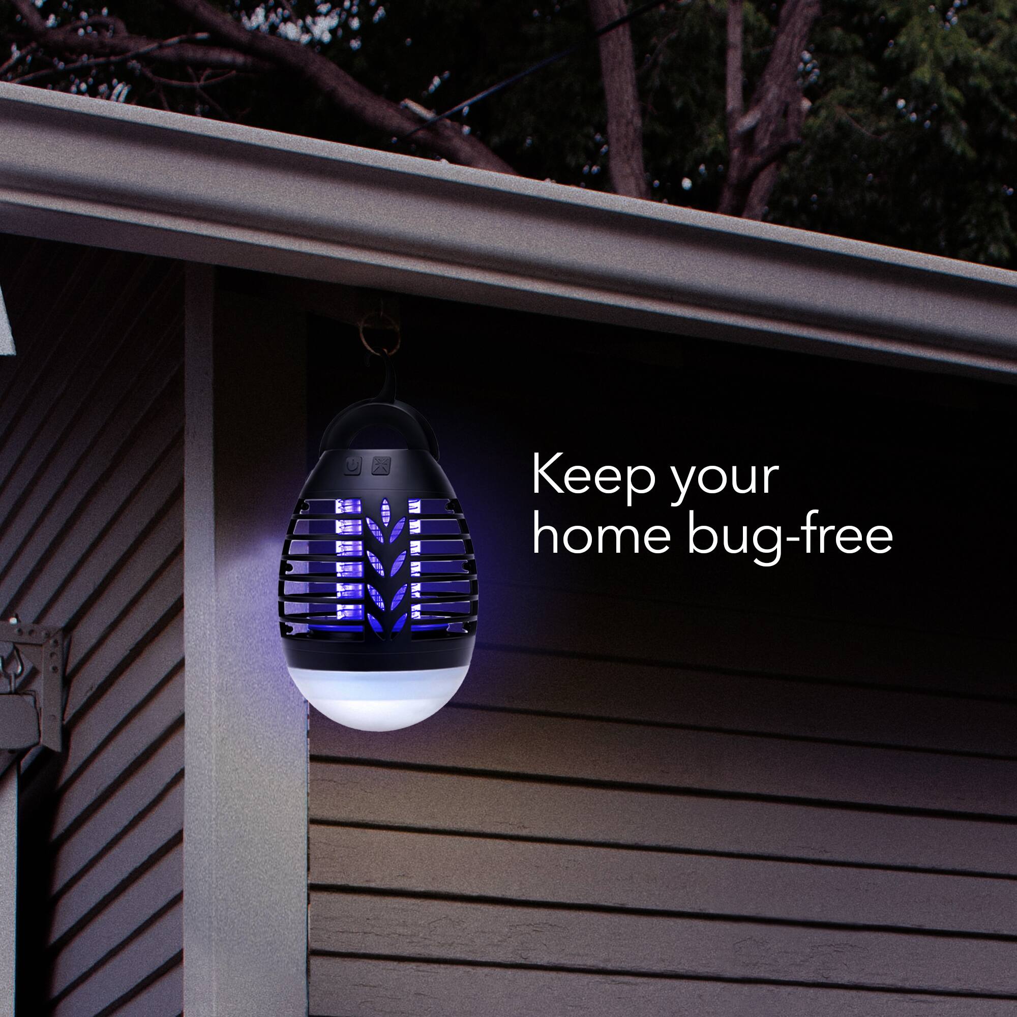 Keep your home bug-free