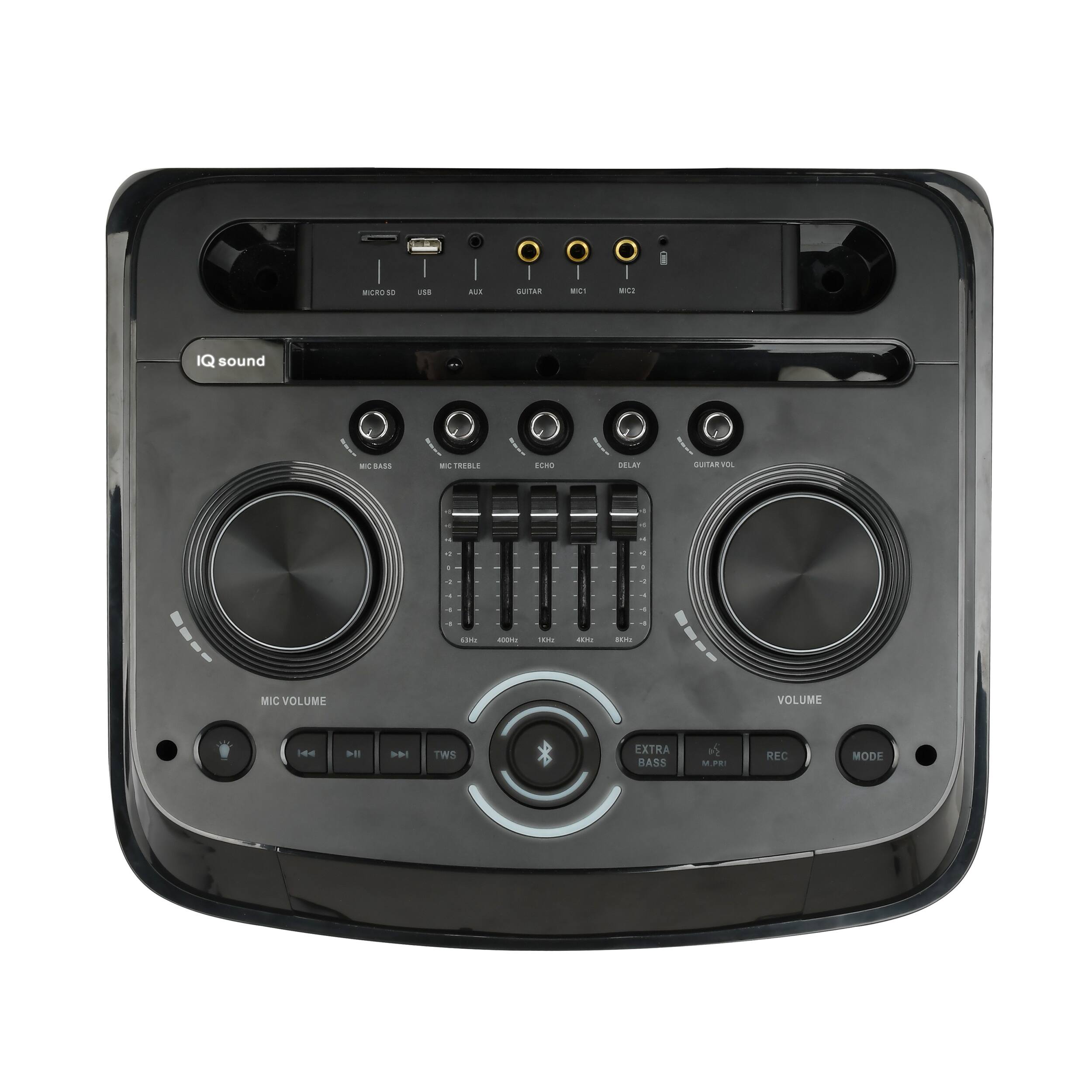 iQ Sound Cyber Flex 2x 12 Inch Portable Party Speaker 310123867M