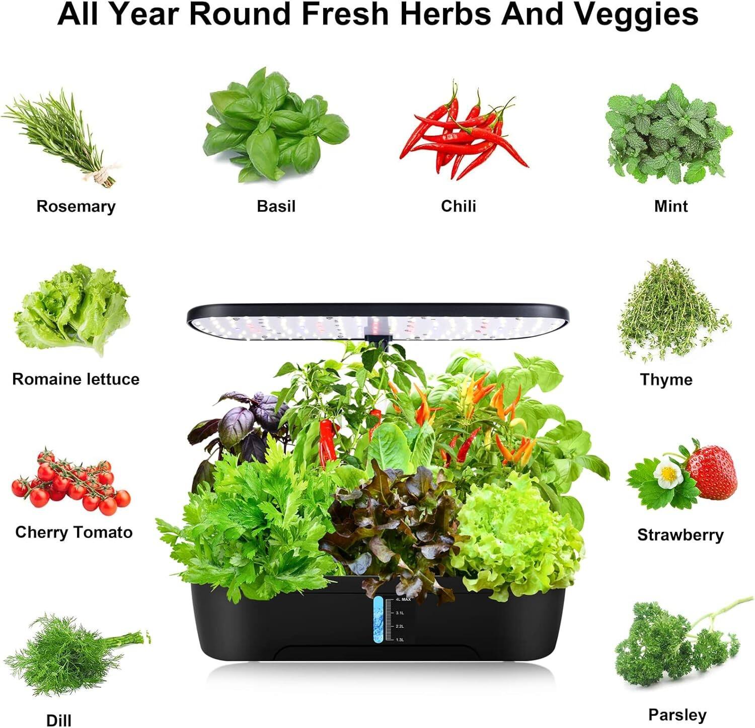 All Year Round Fresh Herbs And Veggies

- Rosemary
- Basil
- Chili
- Mint
- Romaine lettuce
- Thyme
- Cherry Tomato
- Strawberry
- Dill
- Parsley