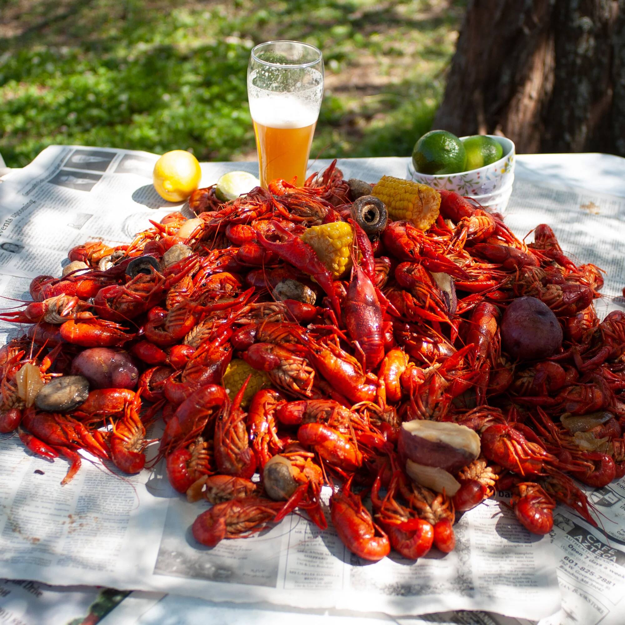 QA BA 3 RUD  
W DRIVE T M ~ 80 ONAN AZTECA O IUN 601-825 82 788T CASTORI