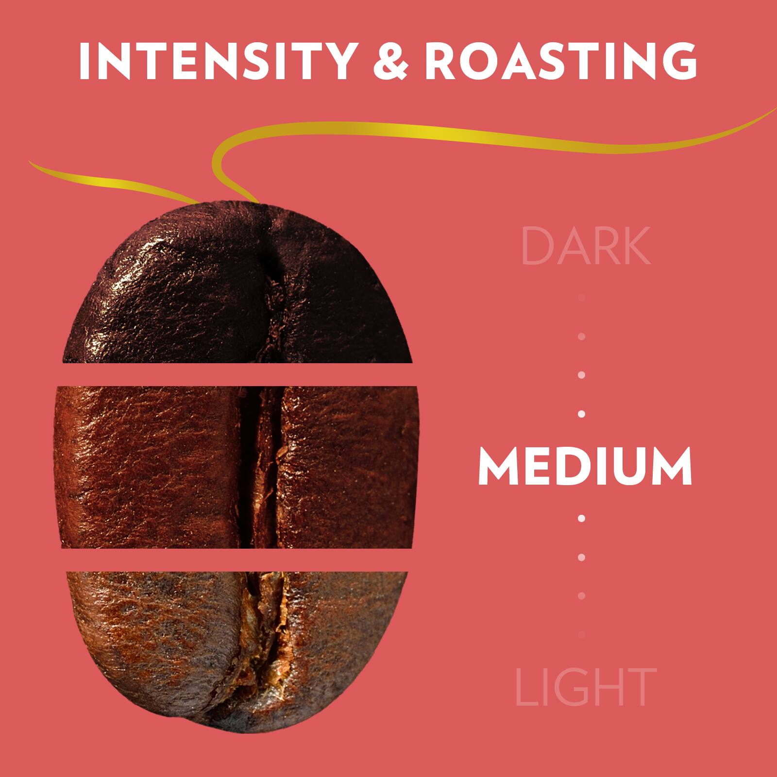 INTENSITY & ROASTING

DARK
MEDIUM
LIGHT