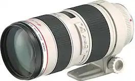 Canon - EF 70-200mm f/2.8L USM Lens (International Model) - Black