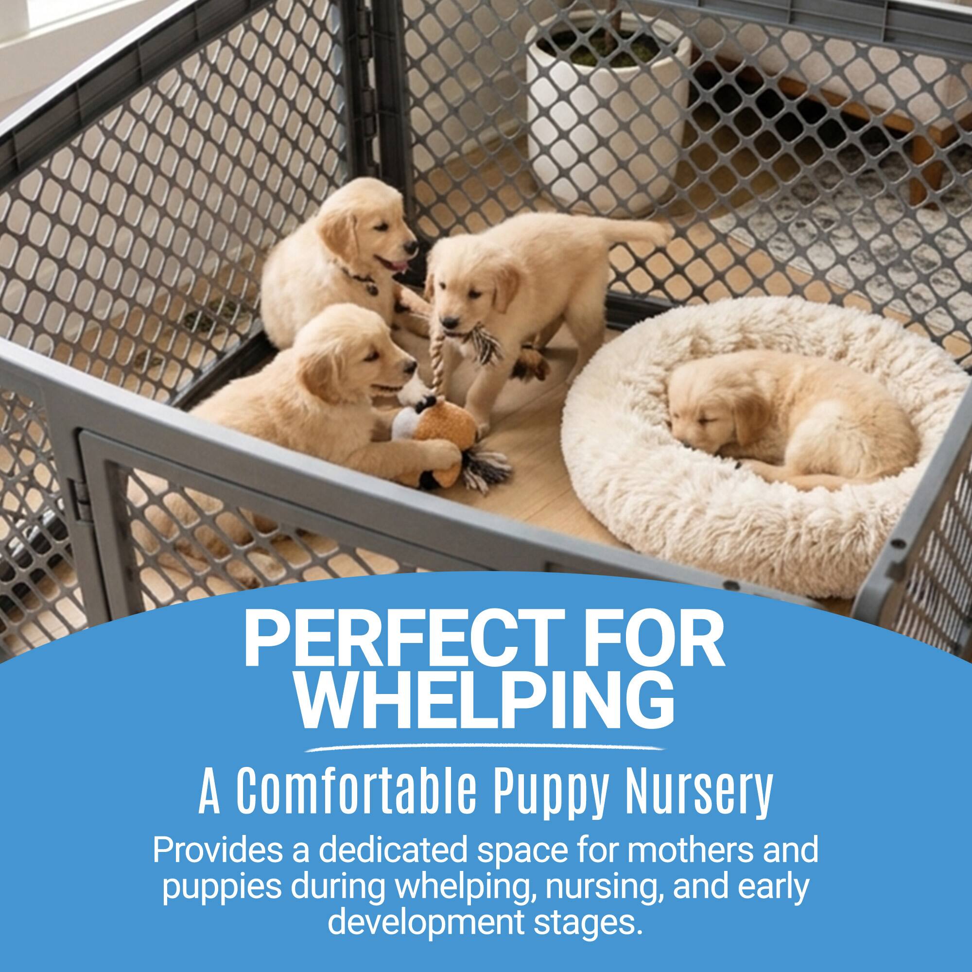 PERFECT FOR WHELPING

A Comfortable Puppy Nursery

Provides a dedicated space for mothers and puppies during whelping, nursing, and early development stages.
