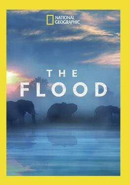 The Flood - DVD