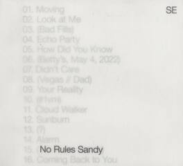 Sylvan Esso - No Rules Sandy - VINYL LP