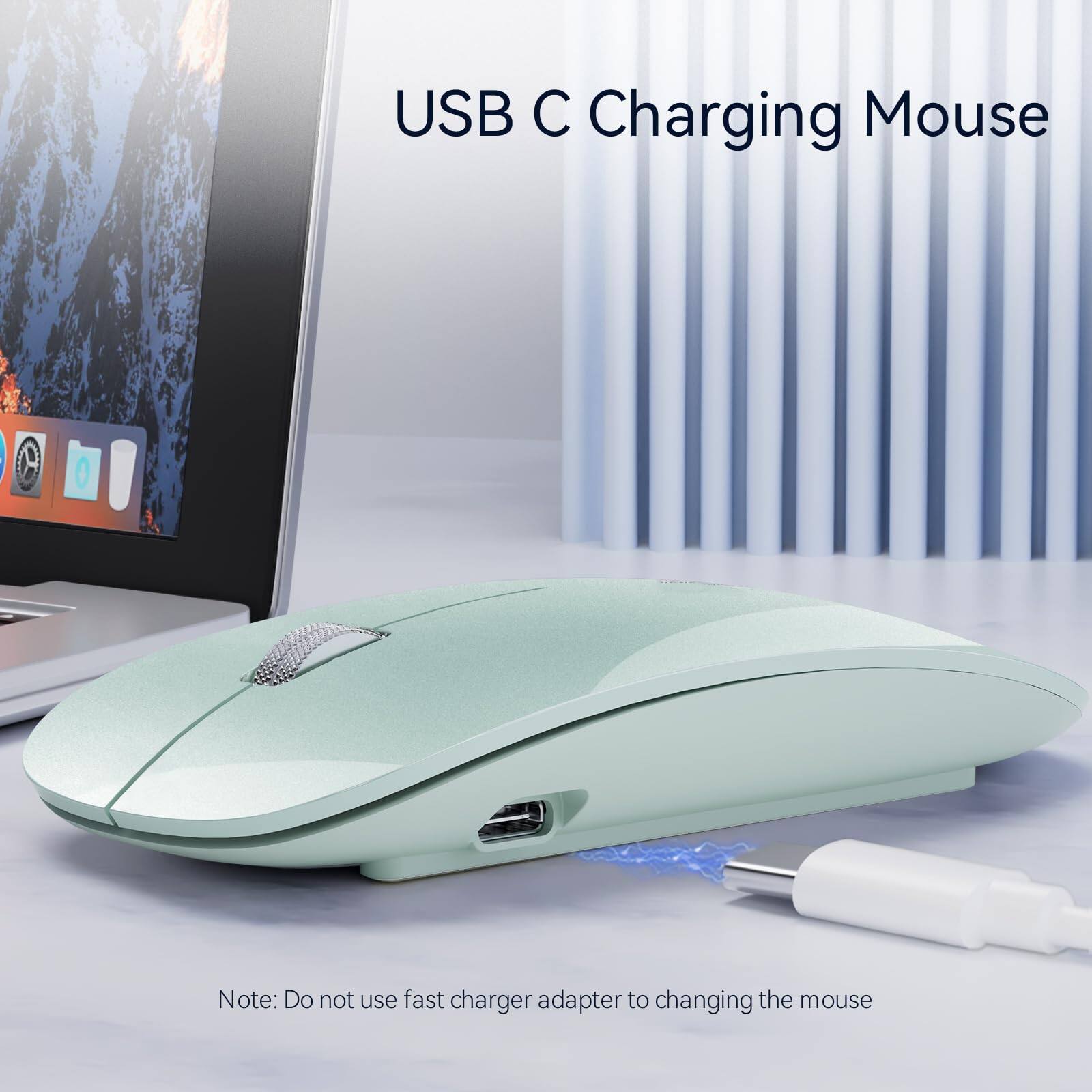 USB C Charging Mouse

Note: Do not use fast charger adapter to charging the mouse