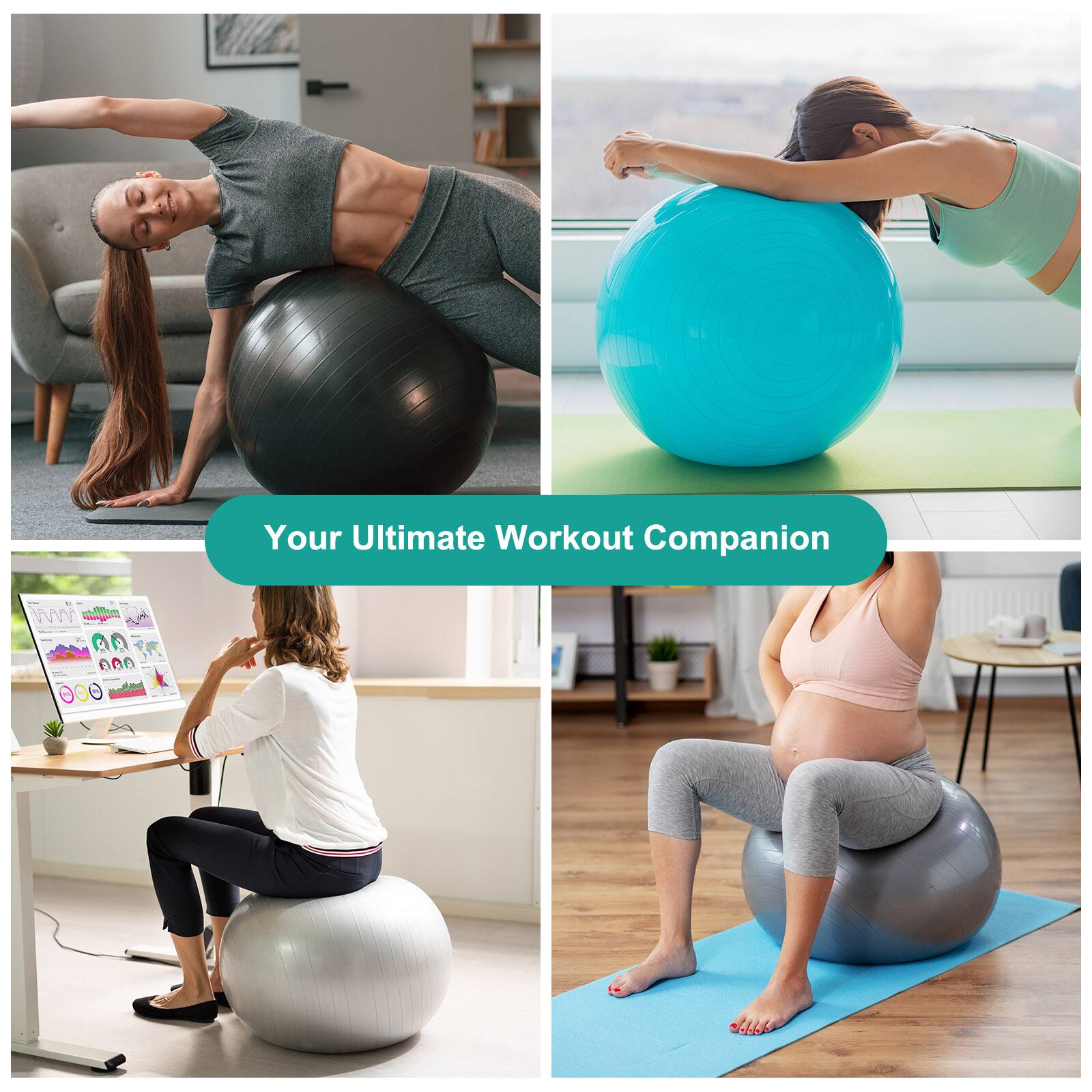 Your Ultimate Workout Companion