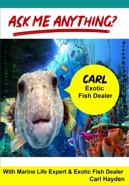 Ask Me Anything?: Carl Exotic Fish Dealer - Best Buy