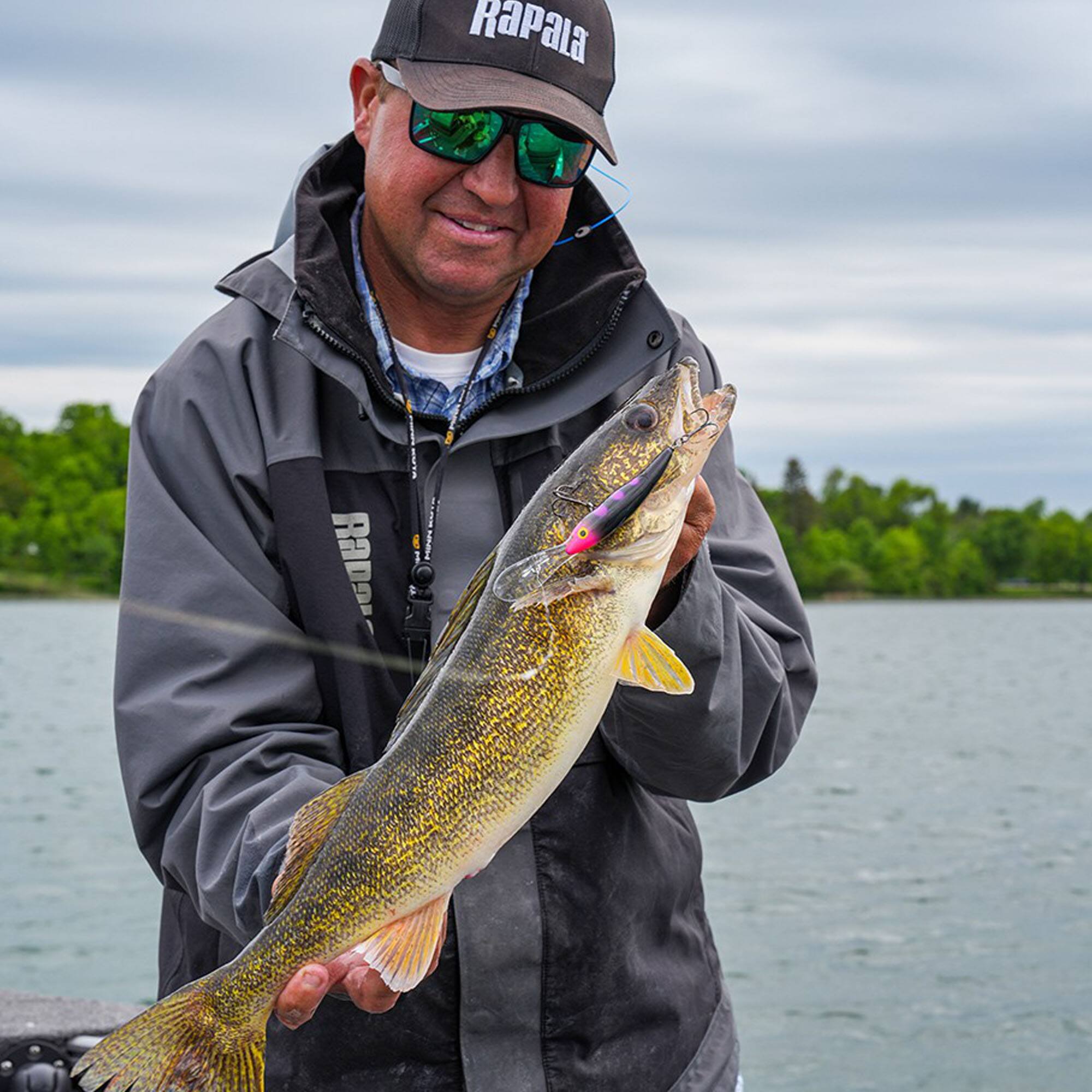 Rapala
