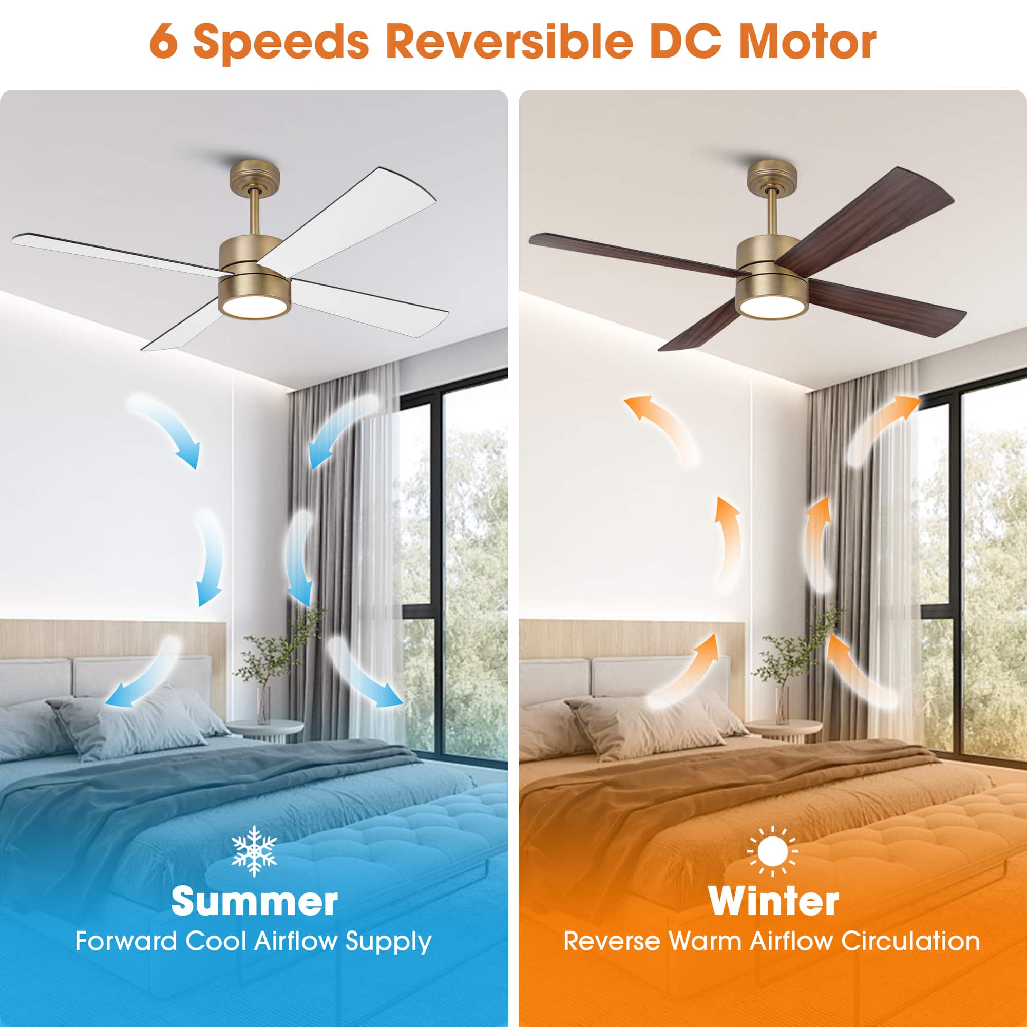 CHAIVUTRUAMRUDEEKOOL 【DIMENTIONOFCOLOUR】 Parrot Uncle 52 Inch RGB Smart Ceiling Fan with Lights
