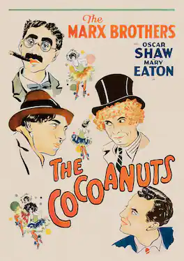 The Cocoanuts - DVD