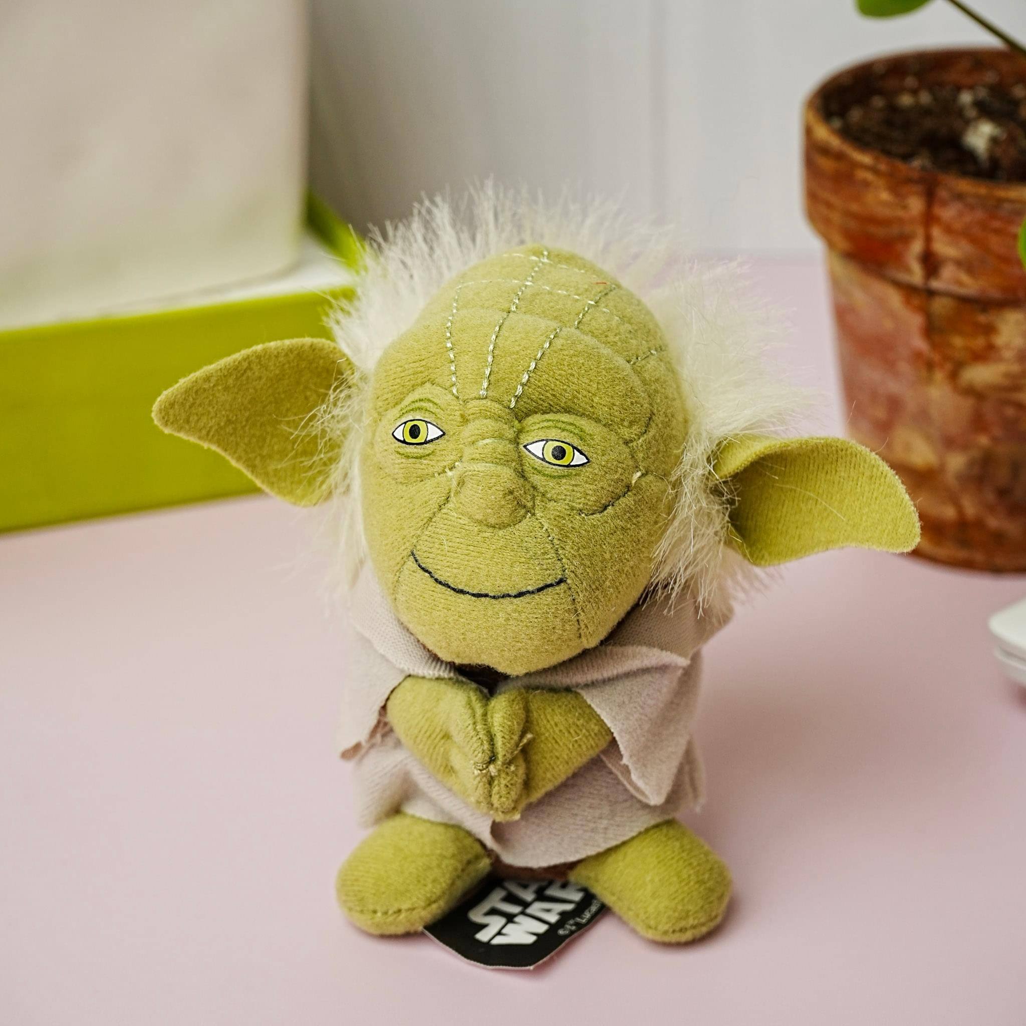 The text on the image reads:

"STL WAF"