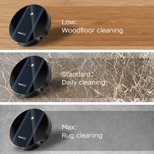 Low: Woodfloor cleaning  
Standard: Daily cleaning  
Max: Rug cleaning