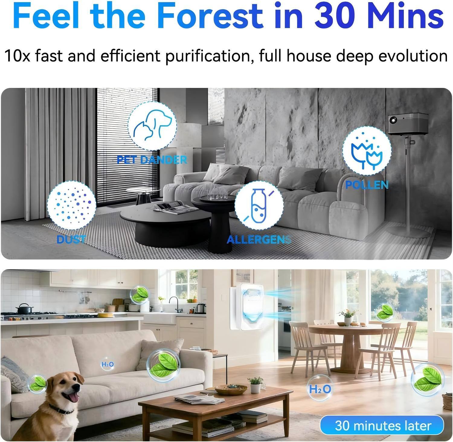 Feel the Forest in 30 Mins

10x fast and efficient purification, full house deep evolution

- PET DANDER
- POLLEN
- DUST
- ALLERGENS

H2O

30 minutes later
