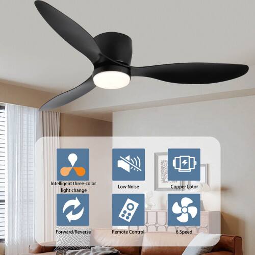 Intelligent three-color light change  
Low Noise  
Copper Lotor  
Forward/Reverse  
Remote Control  
6 Speed