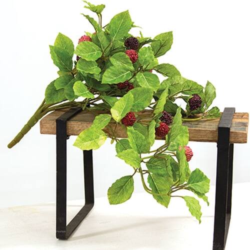 Angle. BreeBe - Fresh Raspberries Hanging Bush - 22" - Green.