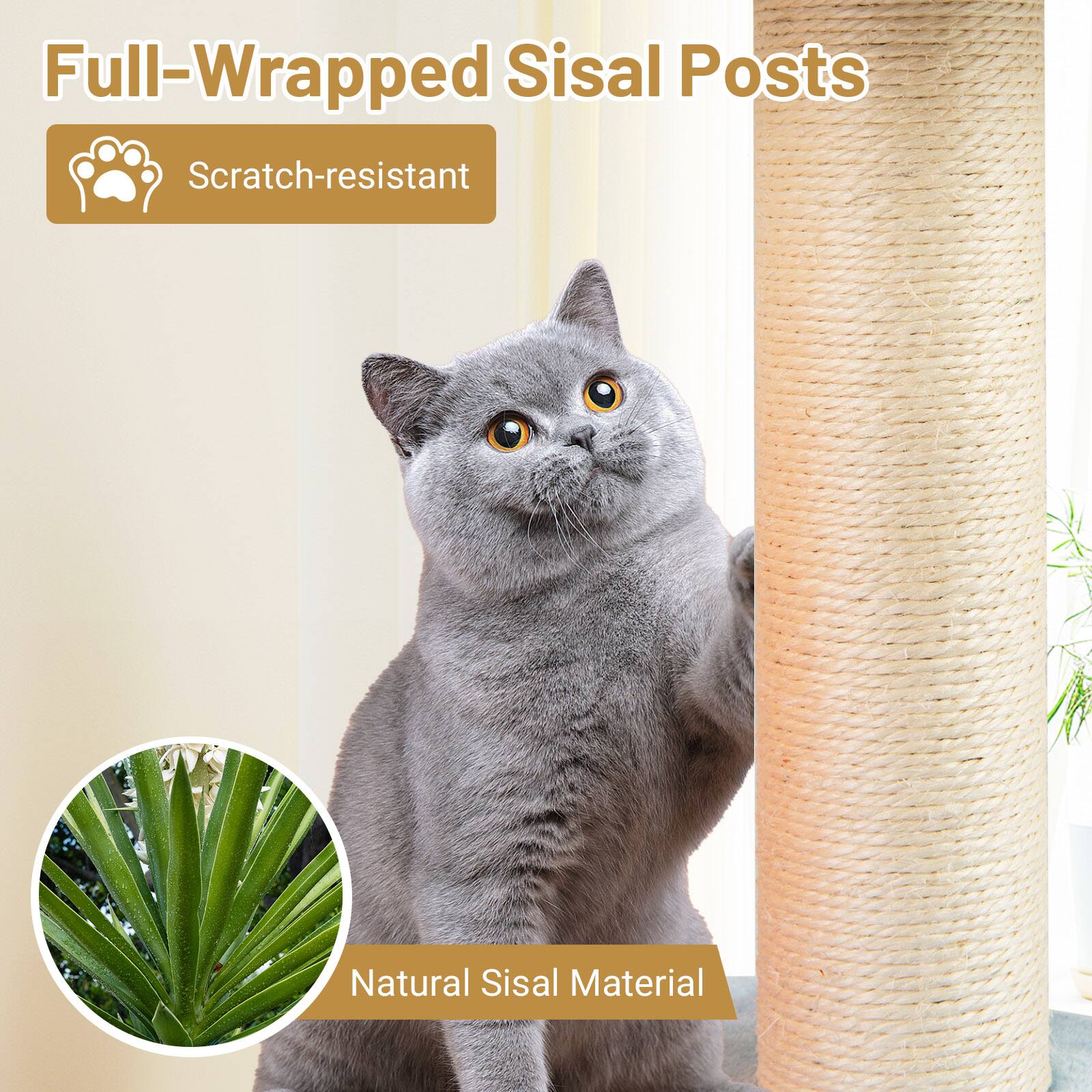 Full-Wrapped Sisal Posts

Scratch-resistant

Natural Sisal Material