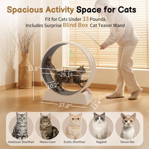 Spacious Activity Space for Cats  
Fit for Cats Under 33 Pounds  
Includes Surprise Blind Box Cat Teaser Wand  

33.8"  
31.5"  
29.1"  
10.2"  
27.2"  
13.4"  

American Shorthair  
Maine Coon  
Exotic Shorthair  
Ragdoll  
Devon Rex