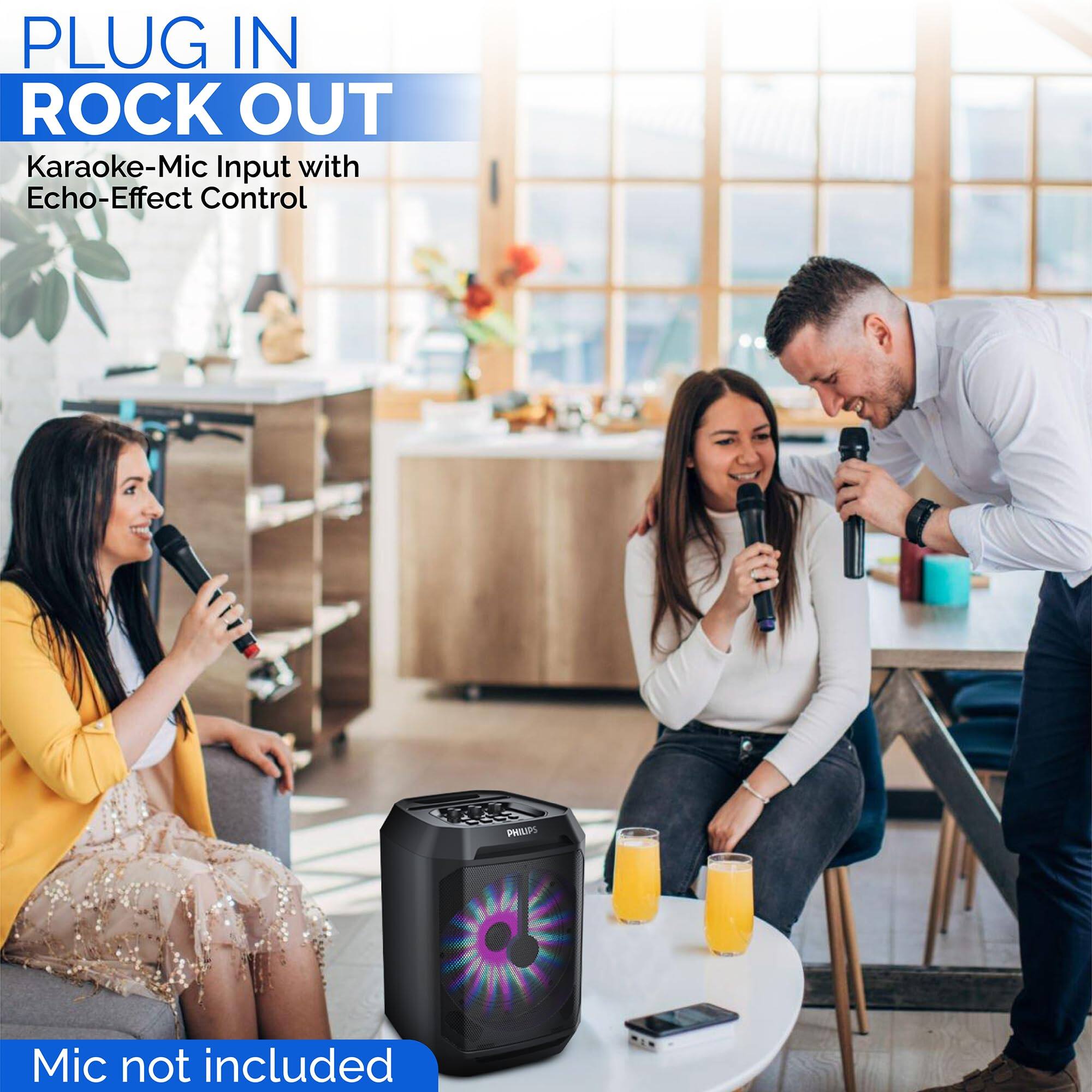 PLUG IN  
ROCK OUT  
Karaoke-Mic Input with Echo-Effect Control  
Mic not included
