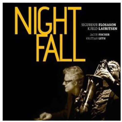 Sigurdur Flosason - Night Fall  - COMPACT DISCS