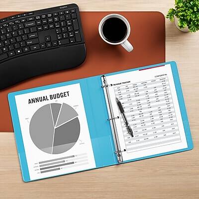 ANNUAL BUDGET REVENUE TRACKER CONFIDENTIAL