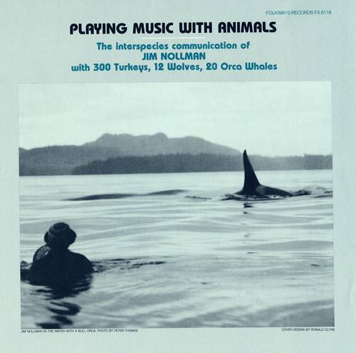 FOLKWAYS RECORDS FX 6118

PLAYING MUSIC WITH ANIMALS  
The interspecies communication of JIM NOLLMAN with 300 Turkeys, 12 Wolves, 20 Orca Whales

JIM NOLLMAN

PHOTO BY PETER THOMAS

COVER DESIGN BY RONALD CLYNE

COPYRIGHT © 1980 BY FOLKWAYS RECORDS, INC.