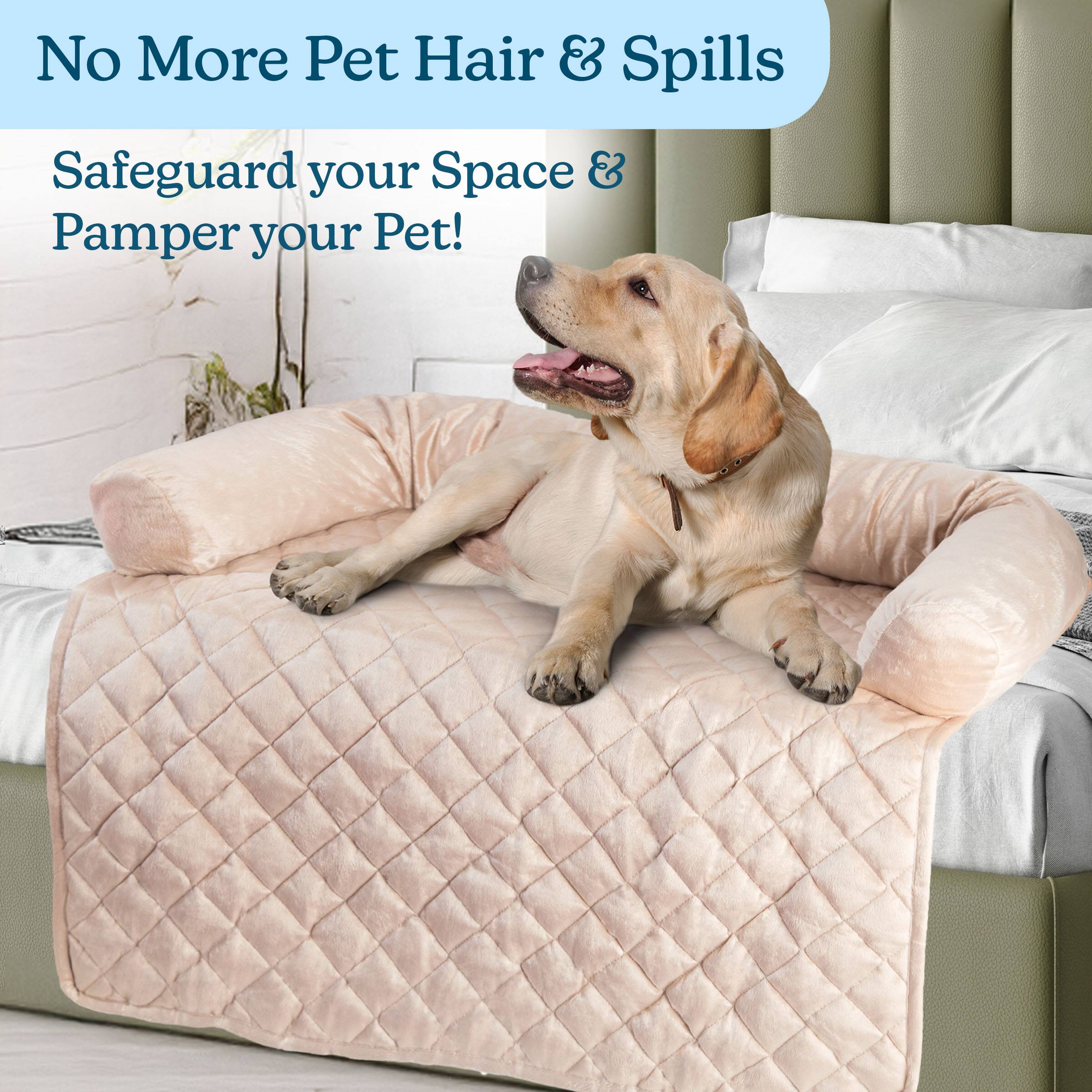 No More Pet Hair & Spills  
Safeguard your Space & Pamper your Pet!
