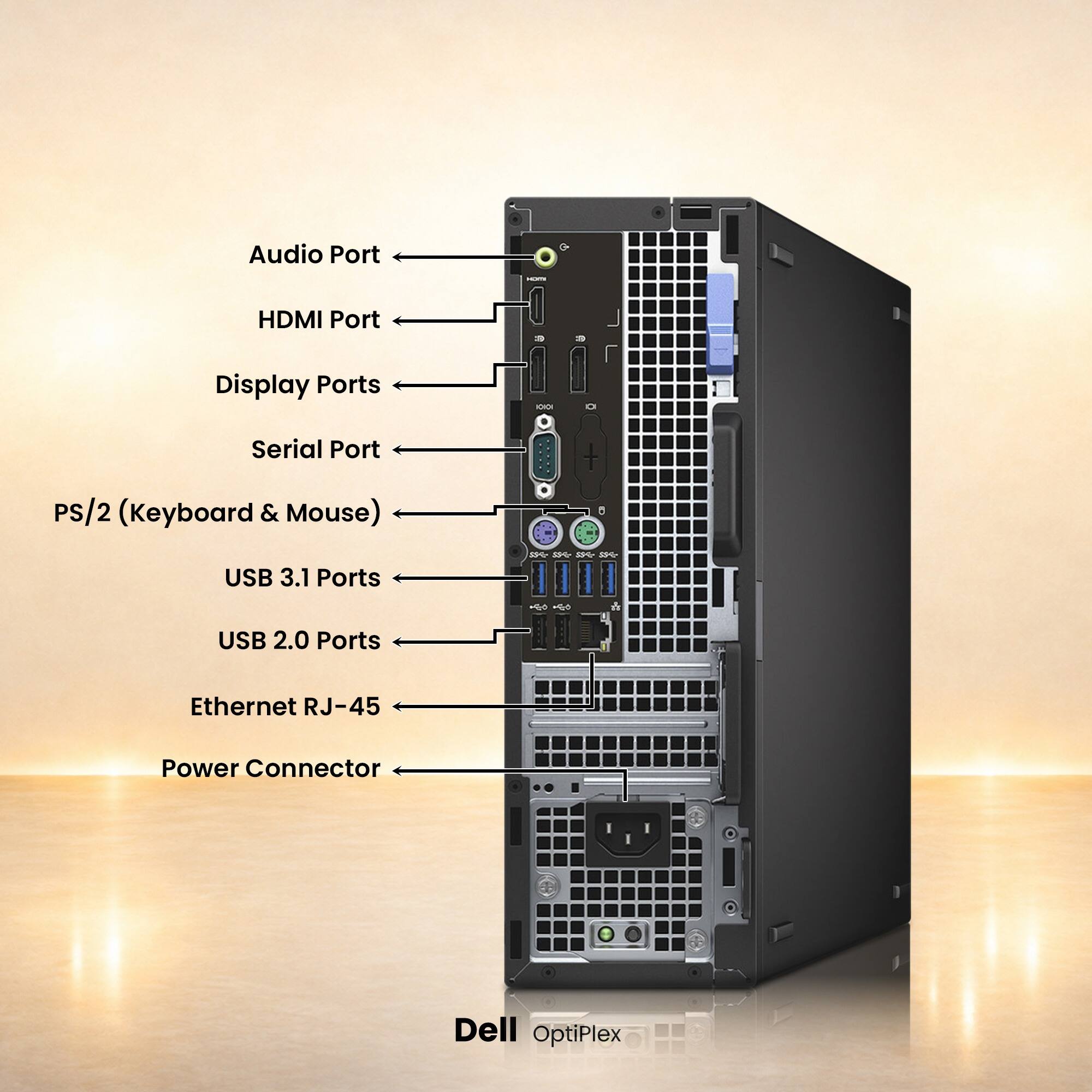 Audio Port  
HDMI Port  
Display Ports  
Serial Port  
PS/2 (Keyboard & Mouse)  
USB 3.1 Ports  
USB 2.0 Ports  
Ethernet RJ-45  
Power Connector  

Dell OptiPlex
