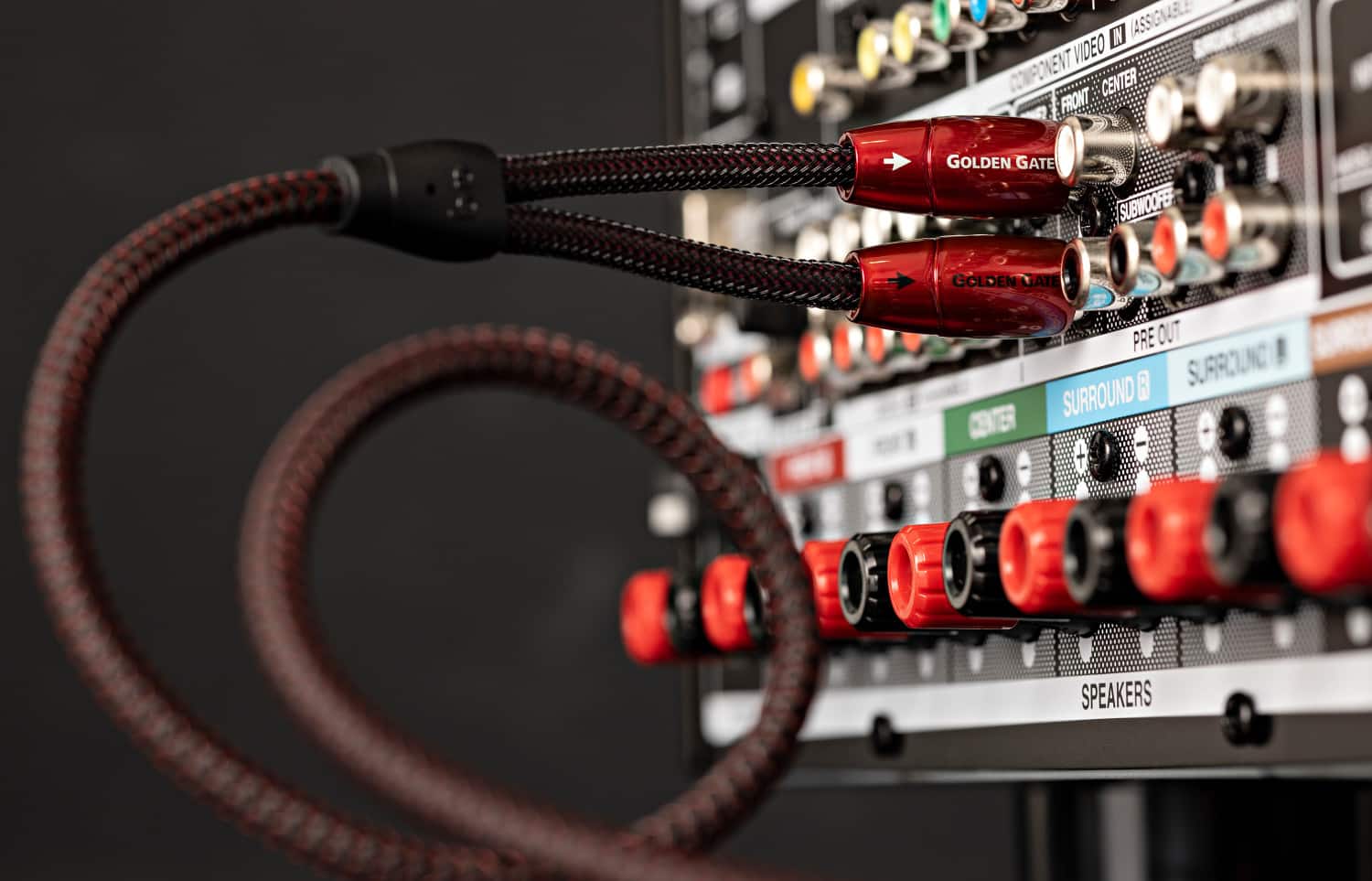 The text on the image reads: "IN (ASSIGNABLE (ASS VIDEO COMPONENT CENTER FRONT GOLDEN GATE SUBWOOFE GOLDEN GATE PRE OUT B SURROUND SURROUND + SPEAKERS." This text is describing the various audio and video connections available on the back of the device. The text indicates that there are multiple audio and video options available, such as surround sound, subwoofer, and pre-out connections.