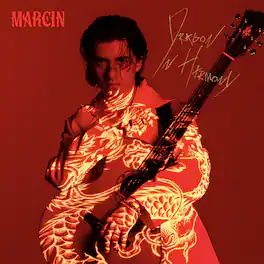 Marcin - Dragon In Harmony - VINYL LP