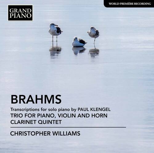 Brahms / Williams - Trio for Piano / Violin & Horn   - COMPACT DISCS [CD] price history on PriceWatchPro