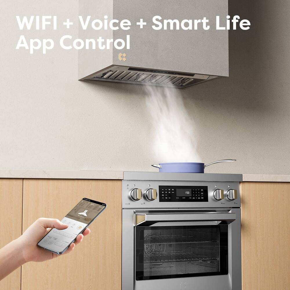 WIFI + Voice + Smart Life  
App Control