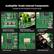 Audiophile-Grade Internal Components Curated for the Pinnacle of Sound Purity
- Panasonic 2% Precision Polyester Film Capacitors
- Nichicon Green Sleeve Copper Lead Audio Capacitors
- 0.1% High-Precision Film Resistors
- OPA1612 Op-Amp
- Omron Relays
- Gold-Plated RCA Jacks