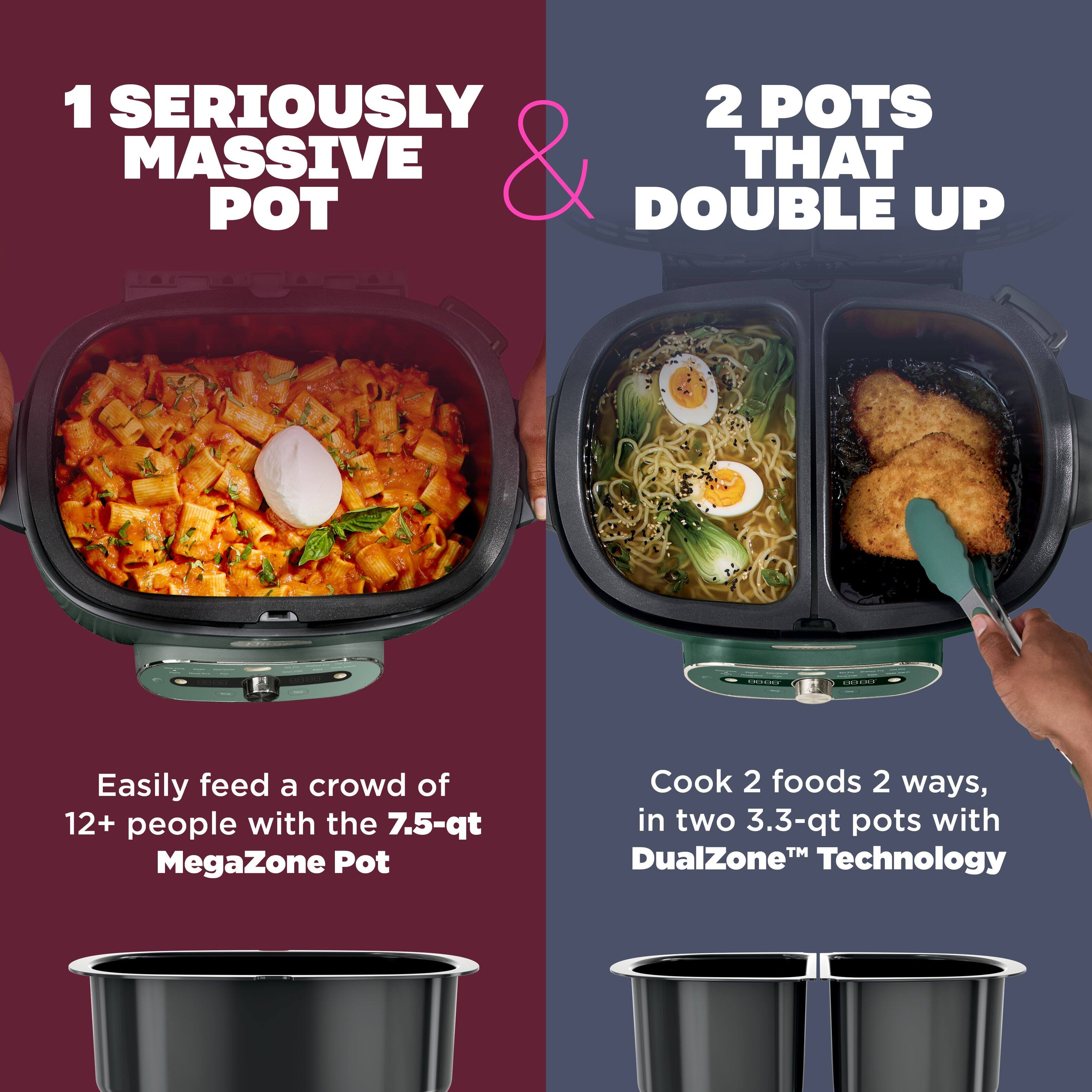 Ninja MultiPot XL 12 in 1 DualZone Multicooker Vista Green - Best Buy