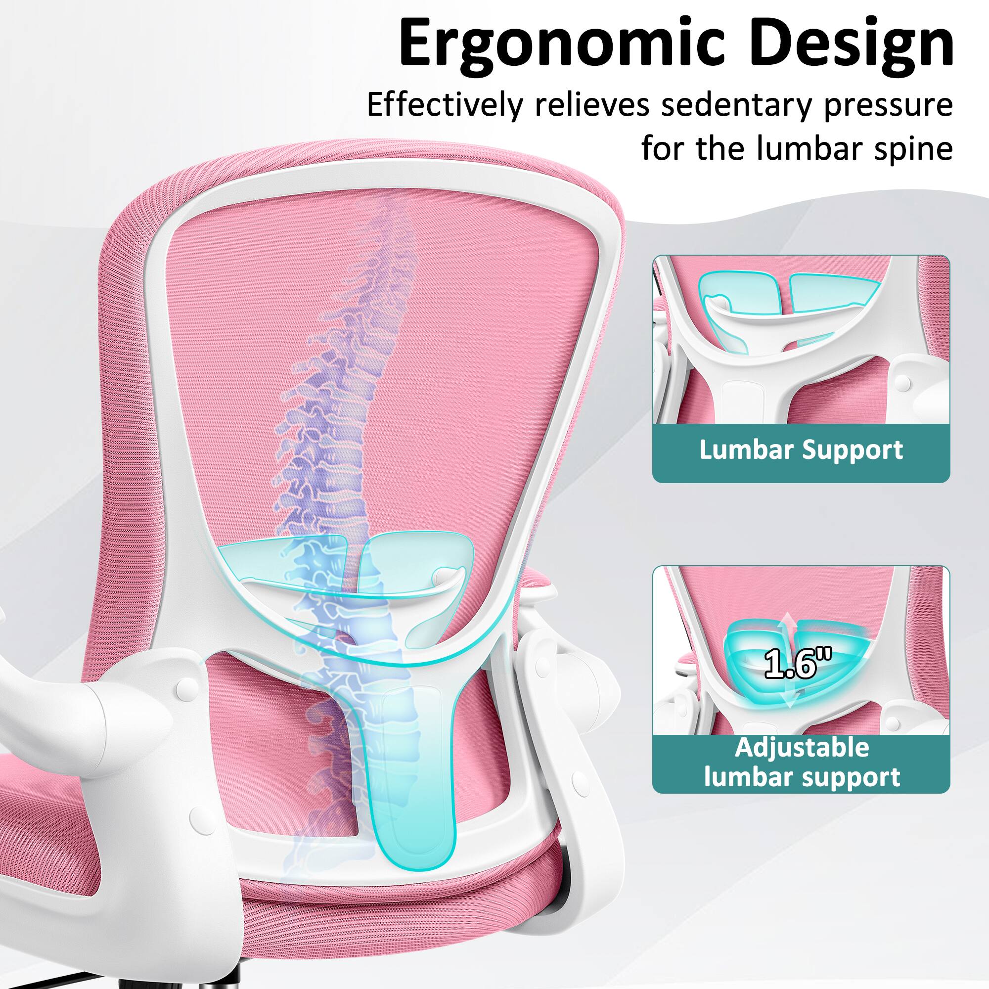 Ergonomic Design  
Effectively relieves sedentary pressure for the lumbar spine  

Lumbar Support  
1.6" Adjustable lumbar support