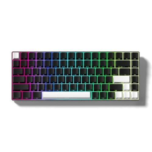 Front. PARKER SLATER - Double Shot Pbt Keycap Set Shine Through Keycaps 75 Percent Cherry Profile Custom Key Caps Gradient Dark Grey Side Prin - Black/White.