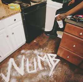 Sha Hef - NUMB - VINYL LP