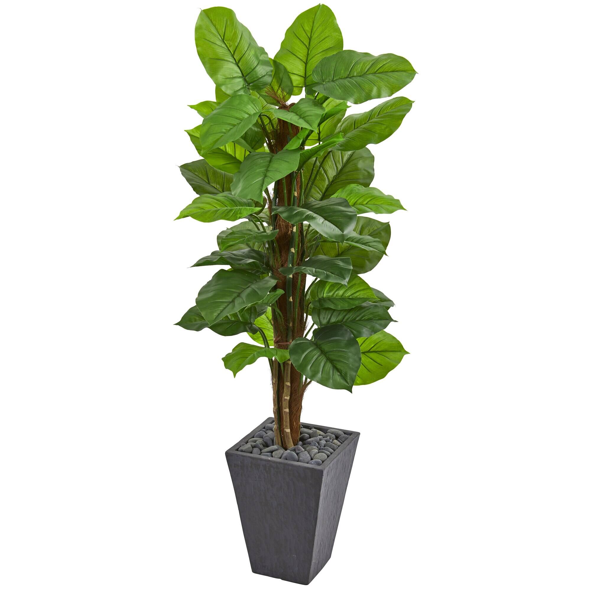 Front. BreeBe - 5' Large Leaf Philodendron Plant Slate Planter (Real Touch) - Green.