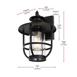 Elegant Lighting - Janney 7 inch Outdoor Pendant - Black