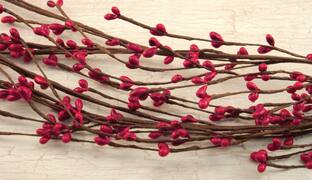 Front. BreeBe - Wispy Pip Berry Garland - 4 Ft. - Red - Red, Brown.