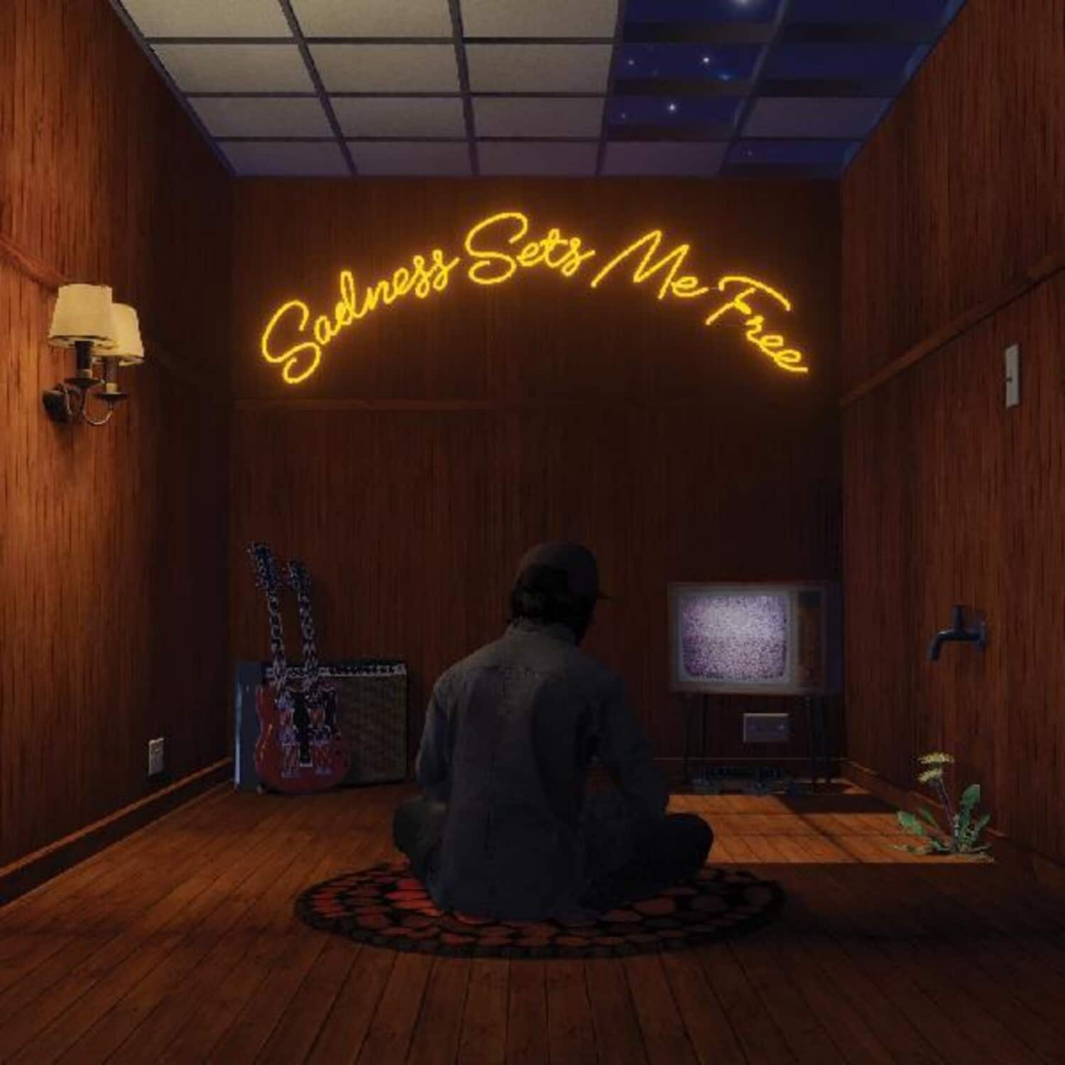 Gruff Rhys - Sadness Sets Me Free   - COMPACT DISCS [CD] price history on PriceWatchPro