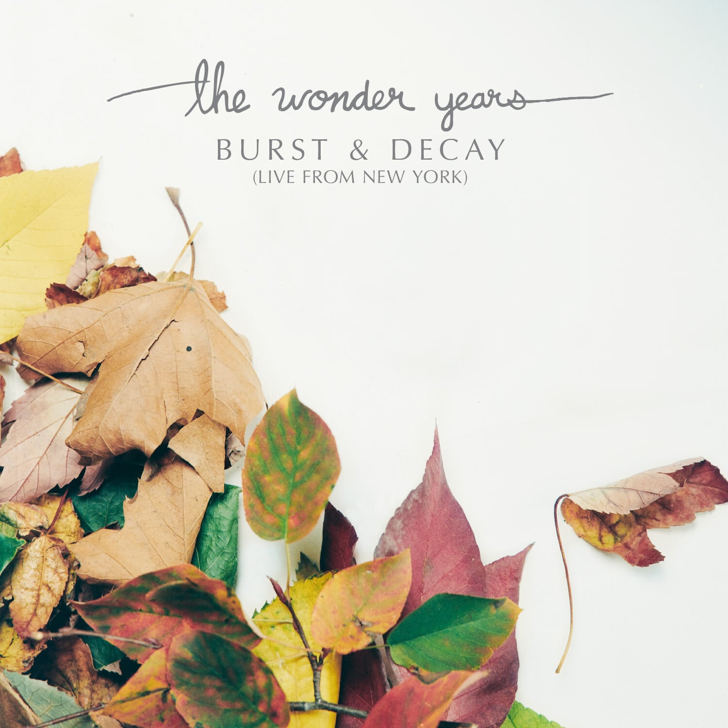 The Wonder Years - Burst & Decay: Live From New York  - VINYL LP